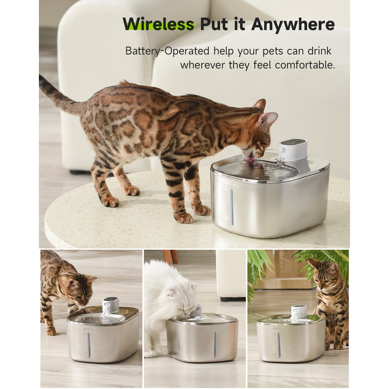 Wireless Cat Water Fountain With Auto Sensor For Cats Dogs Smart Pet Drinking Dispenser For Health 1