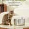Wireless Cat Water Fountain With Auto Sensor For Cats Dogs Smart Pet Drinking Dispenser For Health 4