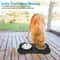 Double Dog Bowl Stainless Steel Pet Feeding Station With Non Slip Silicone Mat 1
