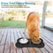 Double Dog Bowl Stainless Steel Pet Feeding Station With Non Slip Silicone Mat 1