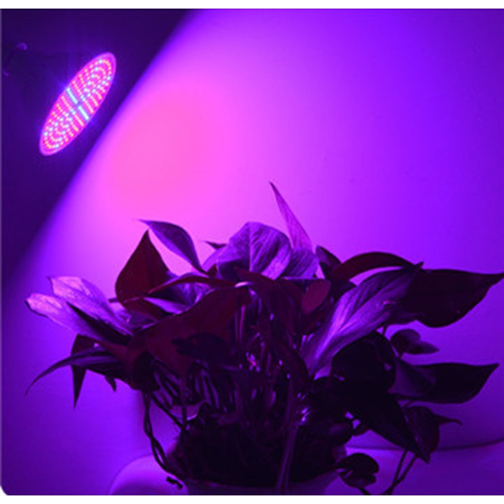 Full Spectrum LED Grow Light for Indoor Plants, Phyto Lamp