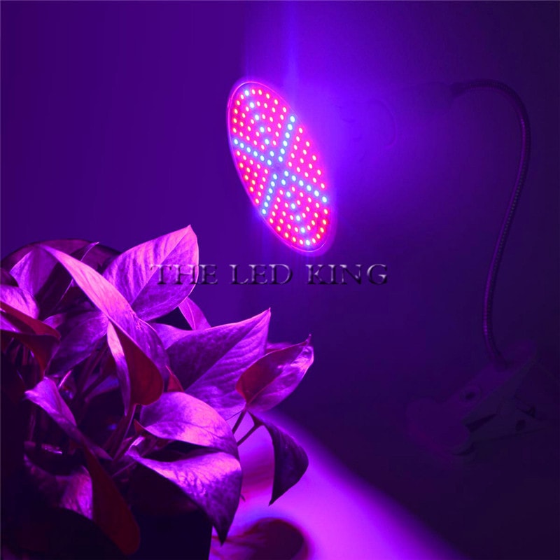 Full Spectrum LED Grow Light for Indoor Plants, Phyto Lamp