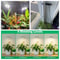 Full Spectrum LED Plant Grow Light With Adjustable Height Auto Timer For Indoor Plants 5