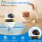 Interactive 3in1 Cat Toy Set Feather Ball Hunting Toy For Indoor Cats 2