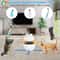 Interactive 3in1 Cat Toy Set Feather Ball Hunting Toy For Indoor Cats 3