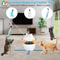 Interactive 3in1 Cat Toy Set Feather Ball Hunting Toy For Indoor Cats 3