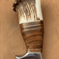 custom handmade d2 steel hunting knife | stag antler crown handle | 9" full tang clip point blade + leather sheath