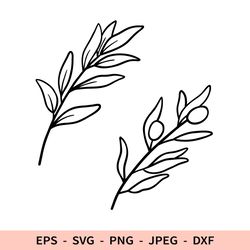 Olive branch SVG Floral Svg Leaves File for Cricut Greece dxf Botanical Svg for laser Nature cut