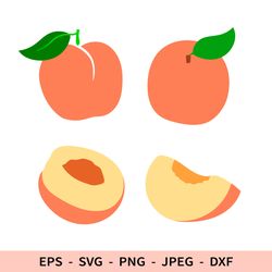 Peach Svg Fruit File for Cricut Slice Peach Leaf Dxf Set Bundle Half Peach Svg