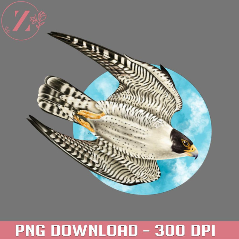 KL291223235-Peregrine Falcon in Flight Hunter Hunter Anime PNG download.jpg