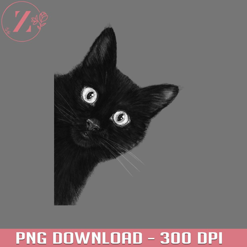 KL02012471-Black cat Anime Cowboy Bebop download PNG.jpg