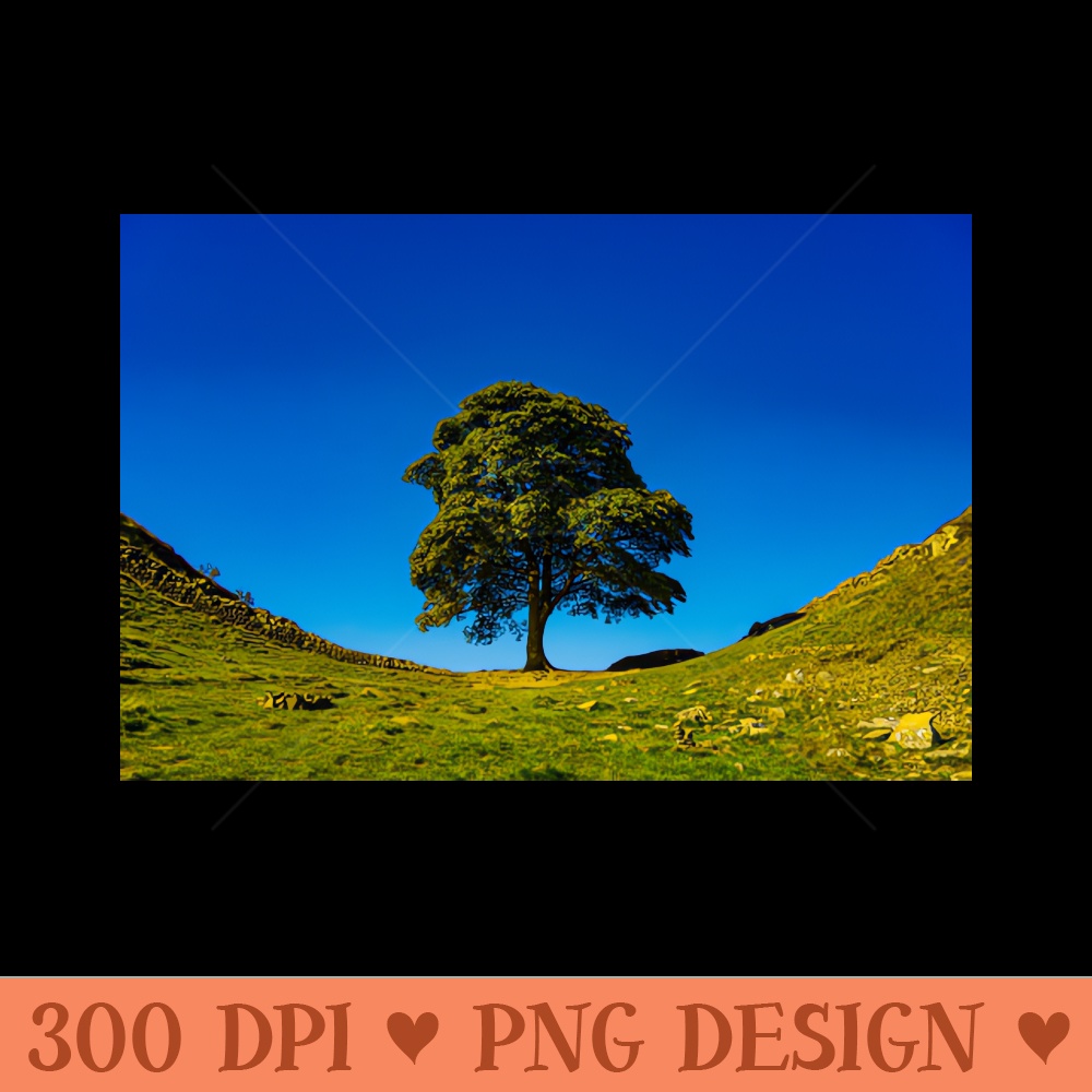 Sycamore Gap, in Memoriam - Transparent PNG - Variety