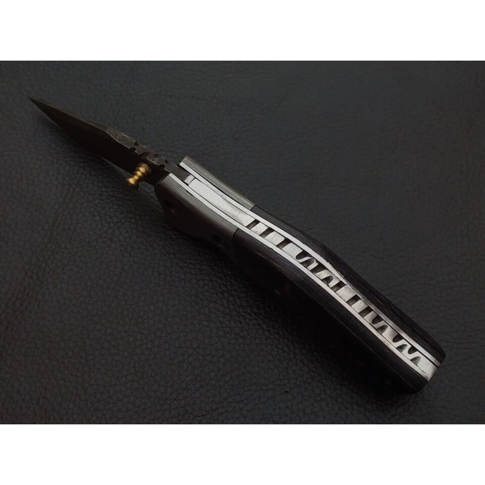 sl960 2jpg