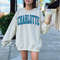 Charlotte Basketball Sweatshirt Hornets Shirt Charlotte Basketball Crewneck Retro Vintage Hornets Shirt Charlotte Pride Hornets gift Apparel.jpg