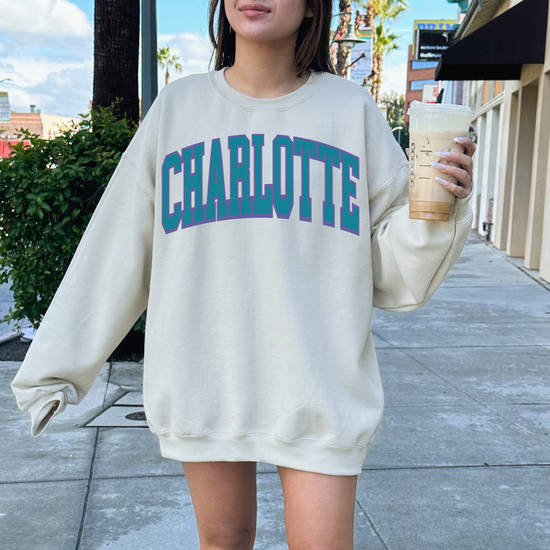 Charlotte Basketball Sweatshirt Hornets Shirt Charlotte Basketball Crewneck Retro Vintage Hornets Shirt Charlotte Pride Hornets gift Apparel.jpg