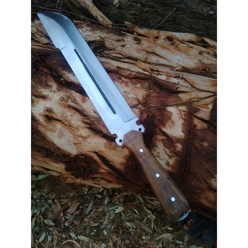 IMG_20240608_181617_Portrait (1).jpg