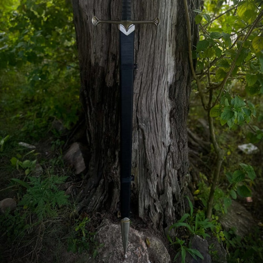 WhatsApp Image 2024-06-27 at 1.19.34 PM.jpeg