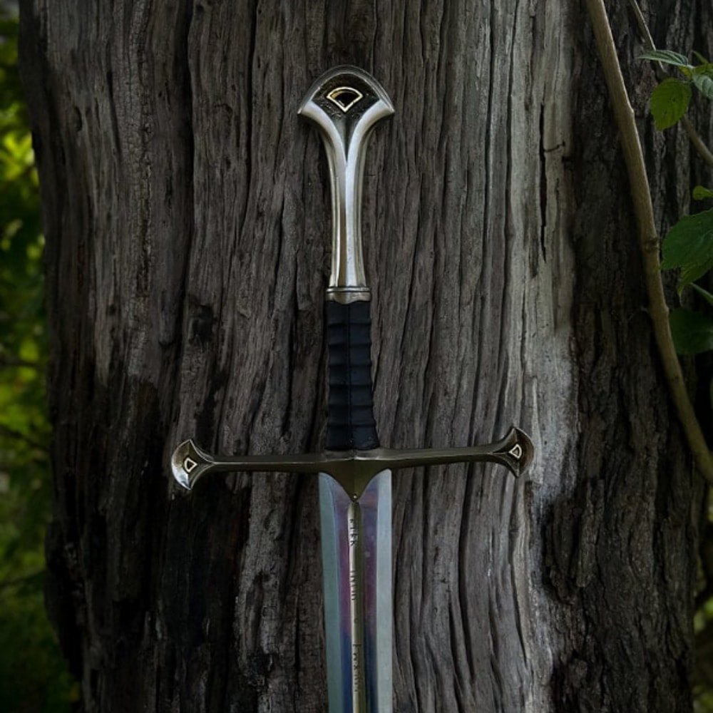 WhatsApp Image 2024-06-27 at 1.19.37 PM.jpeg