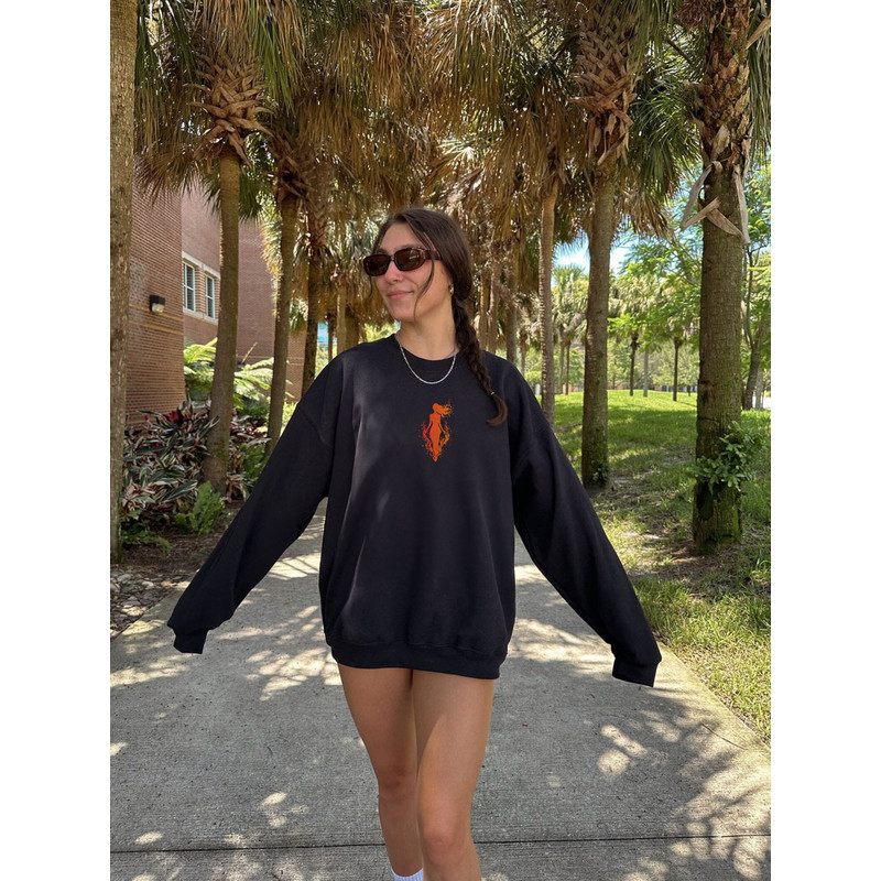 Lehabah Sweatshirt  Crescent City Shirt Licensed SJM Merch Crescent City Gift Bookish Merch Bryce Quinlan Ruhn Danaan Hunt Athalar ACOTAR - 7.jpg
