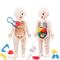 Montessori Human Body Anatomy Model DIY Organ Puzzle for Kids Science Education Medical Toy Tea