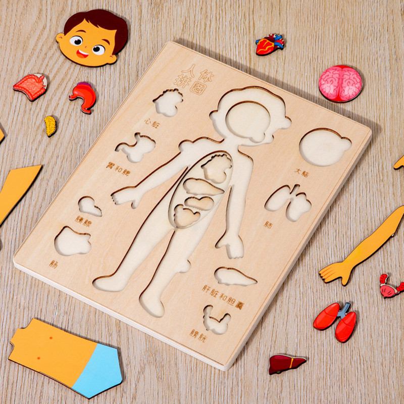 Montessori Puzzles Busy Board Teaching Human Body Parts For Childrens Learning 3