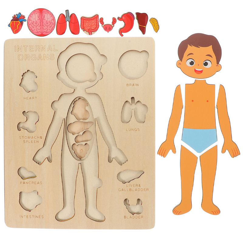 Montessori Puzzles Busy Board Teaching Human Body Parts For Childrens Learning 4