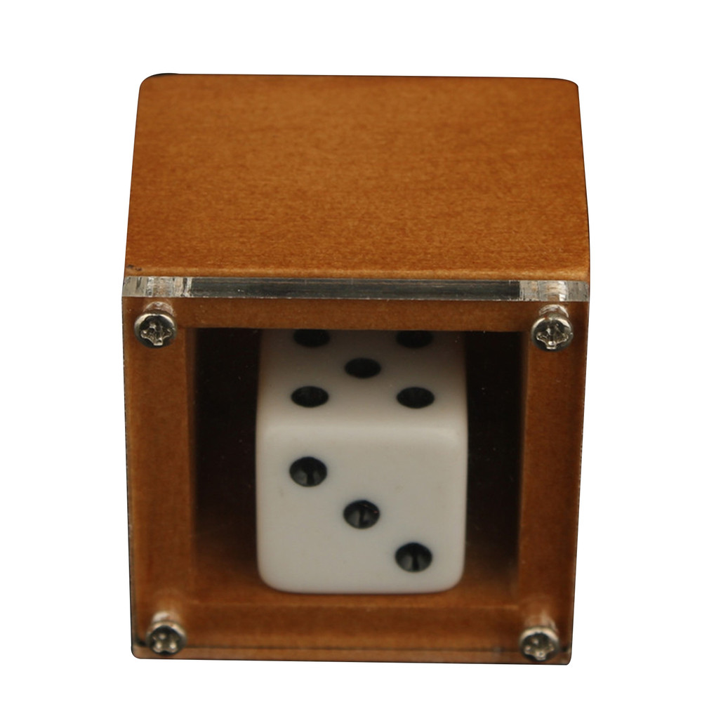 Magic Dice Trick Dot Number Changing Illusion Prop For Kids  Adults  Stage  CloseUp Magic 5