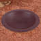 Tortoise Food Dish  Reptile Feeding Dish Spacious Bathing Pool For Amphibians Bearded Dragons And G 6