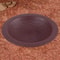 Tortoise Food Dish Reptile Feeding Dish Spacious Bathing Pool For Amphibians Bearded Dragons And G 6