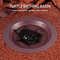 Tortoise Food Dish  Reptile Feeding Dish Spacious Bathing Pool For Amphibians Bearded Dragons And G 1
