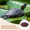 Tortoise Food Dish  Reptile Feeding Dish Spacious Bathing Pool For Amphibians Bearded Dragons And G 5