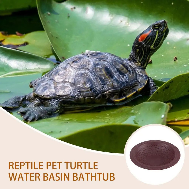 Tortoise Food Dish  Reptile Feeding Dish Spacious Bathing Pool For Amphibians Bearded Dragons And G 5