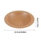 Tortoise Food Dish Reptile Feeding Dish Spacious Bathing Pool For Amphibians Bearded Dragons And G 9