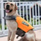 Adjustable Pet Swimming Life Jacket Super Buoyancy Reflective Dog Safety Vest For Water Adventures 0