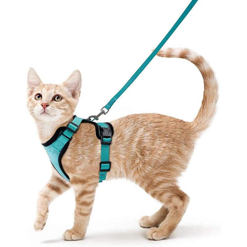 Adjustable Cat Harness And Leash For Walking EscapeProof EasyWear Design For Safe Outdoor Adventure 0