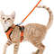 Adjustable Cat Harness And Leash For Walking EscapeProof EasyWear Design For Safe Outdoor Adventure 1