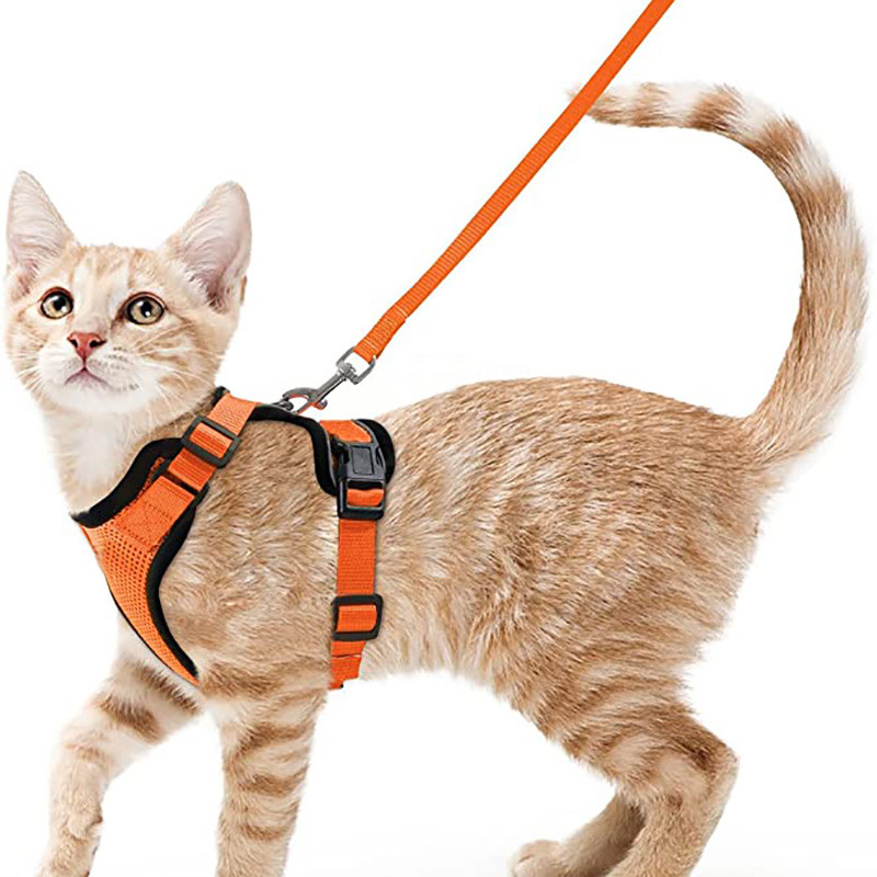 Adjustable Cat Harness And Leash For Walking EscapeProof EasyWear Design For Safe Outdoor Adventure 1