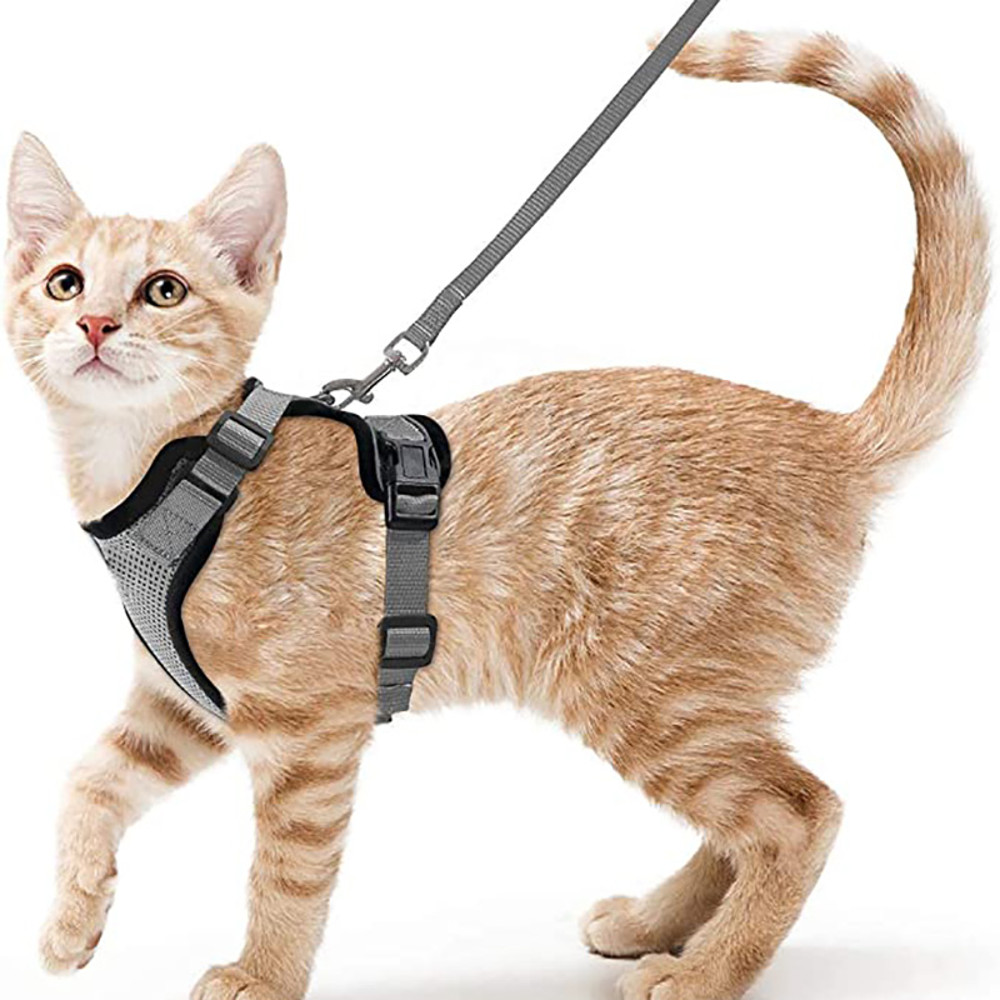 Adjustable Cat Harness And Leash For Walking EscapeProof EasyWear Design For Safe Outdoor Adventure 2