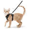 Adjustable Cat Harness And Leash For Walking EscapeProof EasyWear Design For Safe Outdoor Adventure 3