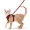 Adjustable Cat Harness And Leash For Walking EscapeProof EasyWear Design For Safe Outdoor Adventure 4