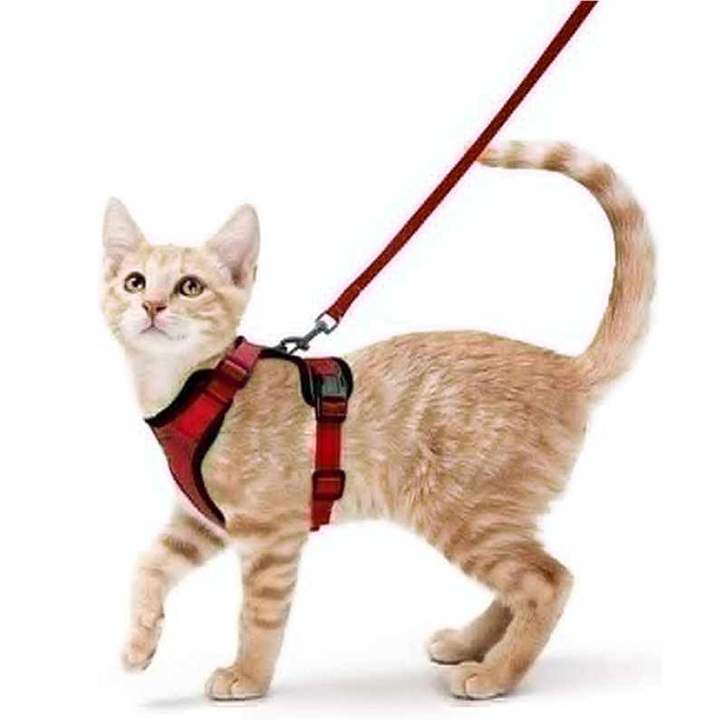 Adjustable Cat Harness And Leash For Walking EscapeProof EasyWear Design For Safe Outdoor Adventure 4