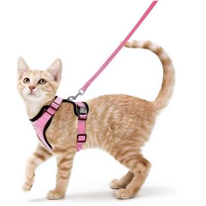 Adjustable Cat Harness And Leash For Walking EscapeProof EasyWear Design For Safe Outdoor Adventure 8