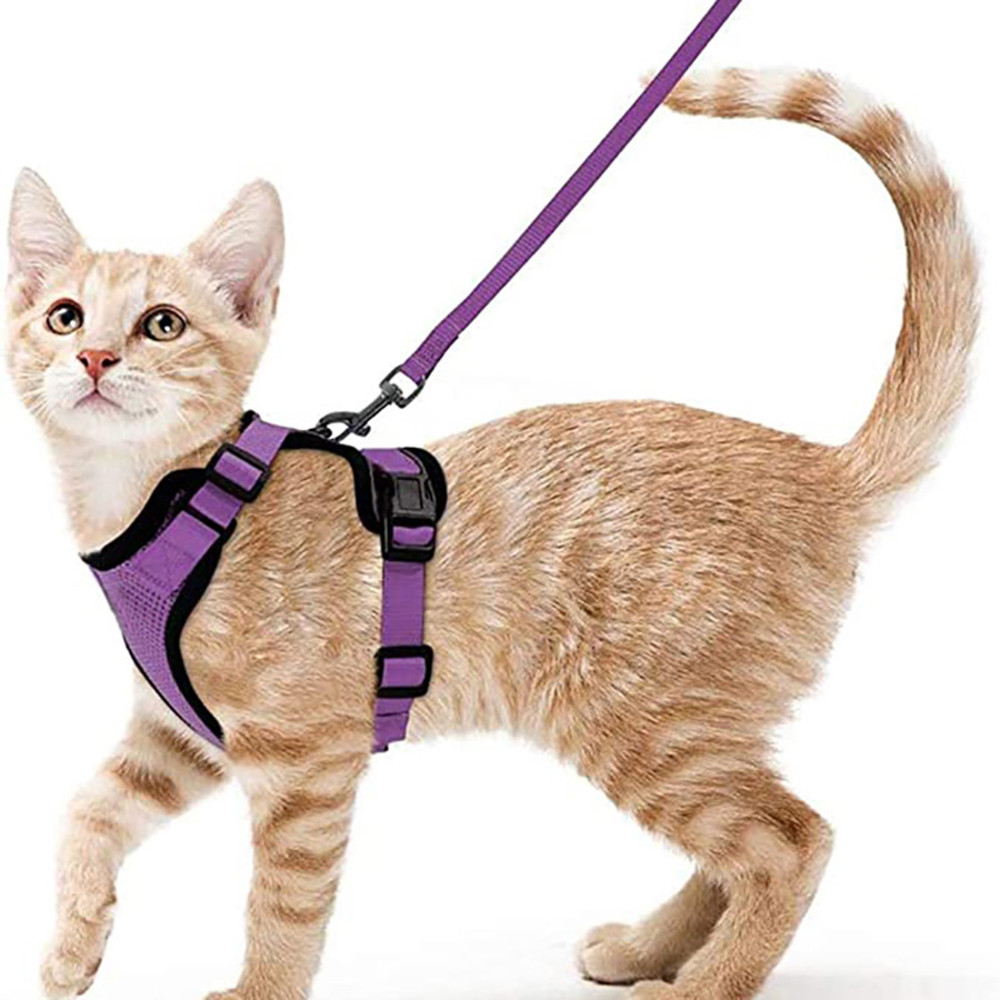 Adjustable Cat Harness And Leash For Walking EscapeProof EasyWear Design For Safe Outdoor Adventure 7