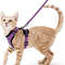 Adjustable Cat Harness And Leash For Walking EscapeProof EasyWear Design For Safe Outdoor Adventure 7