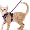 Adjustable Cat Harness And Leash For Walking EscapeProof EasyWear Design For Safe Outdoor Adventure 7