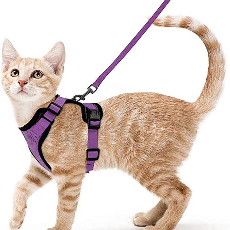 Adjustable Cat Harness And Leash For Walking EscapeProof EasyWear Design For Safe Outdoor Adventure 7