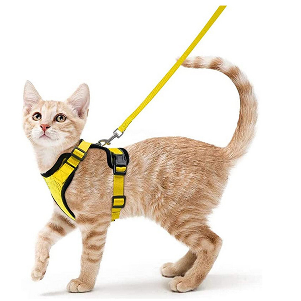 Adjustable Cat Harness And Leash For Walking EscapeProof EasyWear Design For Safe Outdoor Adventure 11