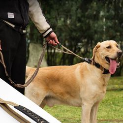 tactical no-pull dog leash – reflective, shock absorbing & heavy duty pet leash with car seatbelt safety