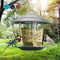 Automatic Foot Feeding Bird Feeder Outdoor Hanging Nut Dispenser With Multiple Feeding Holes And Fo 1