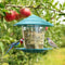 Automatic Foot Feeding Bird Feeder Outdoor Hanging Nut Dispenser With Multiple Feeding Holes And Fo 2